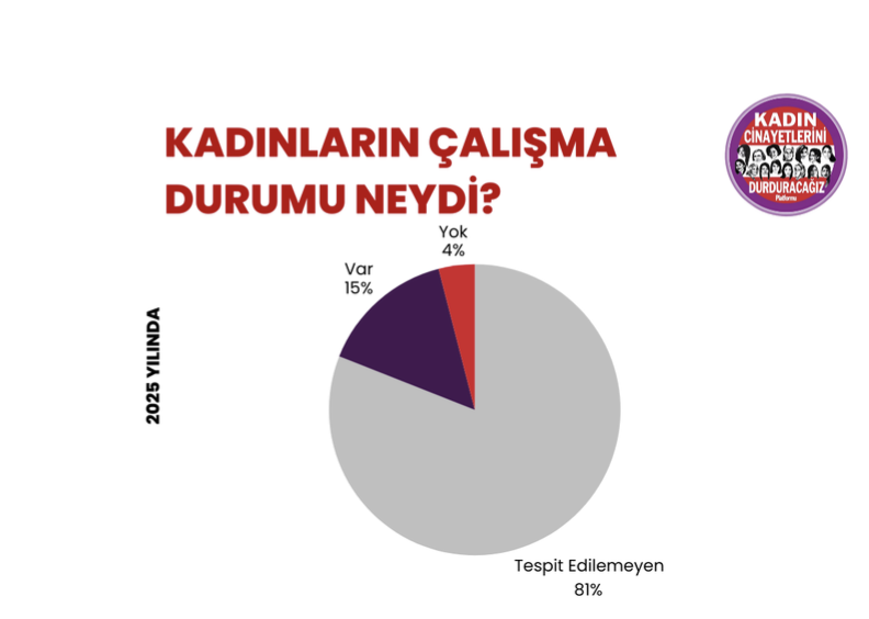 2025'te en az 294 kadın erkekler tarafından katledildi, şüpheli kadın ölümleri ilk kez kadın cinayetlerinin önüne geçti 9